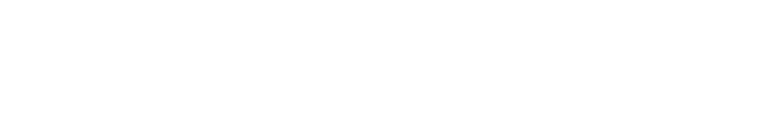 Логотип холдинга Swift